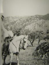 Vintage B&W Photo Man Rides Horse, Hi-Ho Silver Away picture