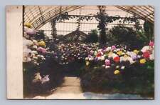 Greenhouse Interior w Hand Colored Hydrangeas RPPC Beautiful Antique Photo 1910s picture