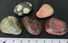 5pc Michigan Gems - LARGE Epidote, Banded Red Jasper, Unakite, Porphyry 2.2LBS picture