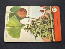1962 Ed-U-Cards Tree Spotter Game Card  # 22 Ginkgo (NM) picture
