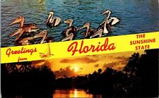 Greetings Banner Florida Pelicans Scenic Sunset Chrome Cancel WOB Postcard picture