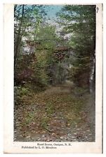 1914 Road Scene, Leaf Covered Lane, Landscape, Ossipee, NH Postcard  picture