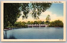 Minnesota Park Rapids Bridge Fishhook River Riverfront Boat UNP Vintage Postcard picture