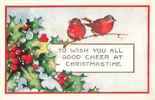 Vtg Early 1900's Christmas Holiday Birds Postcard 5.5