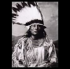 Chief Gall 1880 PHOTO Survivor of Custer’s Last Stand, Headdress Lakota Indian picture