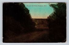 Buchanan MI-Michigan, Scenic Moccasin Hill Drive, Antique Vintage Postcard picture
