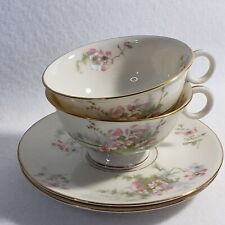 Apple Blossom New York by Haviland Footed Cup &Saucer Set of 2 Rare Discontinued picture