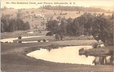 RPPC Gilbertsville New York Scene at Thorp's on Butternut Creek 1911 picture
