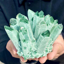 1.14LB New Find Green Phantom Quartz Crystal Cluster Mineral Specimen Healing picture