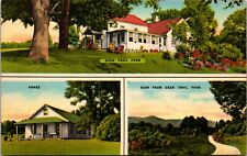 Leeds New York NY Deer Trail Farm Multiview Linen Vintage Postcard picture
