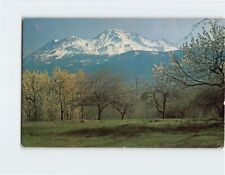 Postcard Mount Shasta California USA picture