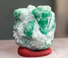 22 CT Natural Emerald Crystal Emerald W/ Mineral Specimen From Swat Pakistan picture