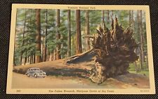 Vintage Yosemite NP Linen 1938 Postcard The Fallen Monarch at Mariposa Grove picture