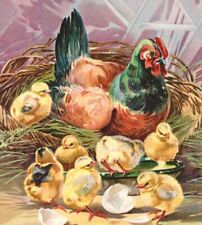 A Bright and Happy Easter Hen & Baby Chicks 1909 Raphel Tuck Postcard picture