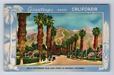 Pasadena CA-California, Palm Lined Street, Antique, Vintage Postcard picture