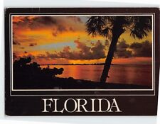 Postcard Beautiful Tropical Sunset in Florida USA picture
