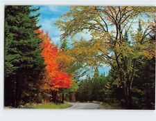 Postcard Scenic New Hampshire USA picture