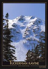 Postcard NH Tuckerman Ravine Mount Washington 
