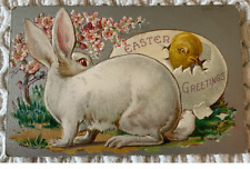 Easter Greetings Postcard Exaggerated White Rabbit Chick cracking out of egg picture