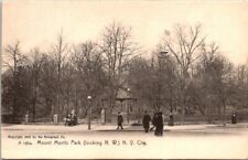 Vintage Postcard Rotograph  Mount Morris Park New York City New York B8 picture