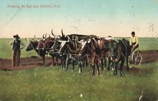 Minot, North Dakota Postcard Breaking Sod Farming c 1910  V6 picture