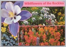 Wildflowers Of The Rockies~Beautiful Colors~Columbine & Indian Paint~Continental picture