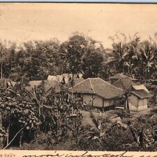 1920 Dutch East Indie Kampong Sasak Village Postcard Indonesia Nederlandsch A121 picture