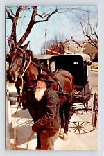 Lancaster County Pennsylvania Amish Man Horse & Buggy Chrome UNP Postcard picture