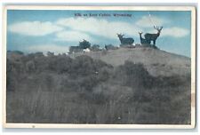 c1910's Scenic View Of Elks At Lost Cabin Minnesota MN Unposted Vintage Postcard picture