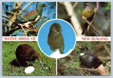 Postcard Native Birds of New Zealand C4 picture