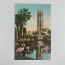 Postcard Florida Lake Wales FL Singing Tower Pink Flamingos Hand Colored 1940s picture
