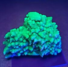 ***SUPERB- Fluorescent Green Quartz Epimorph ps Calcite crystals, mine Mexico*** picture