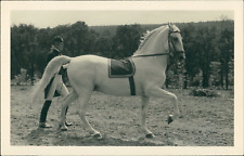 Austria, Spanish Riding School Vienna. Long Rein Gallop Vintage Silver  picture