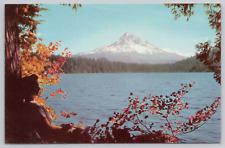 Postcard Oregon Mt Hood Union Oil Company Standard Unposted picture