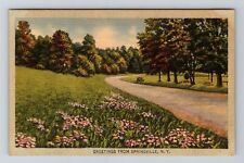Springville NY-New York, General Greetings, Antique Vintage Souvenir Postcard picture