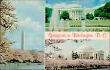 Postcard: Springtime in Washington, D. C. picture