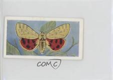1958 Swettenhams Tea Butterflies and Moths Spotted Tiger Moth #1 11z5 picture