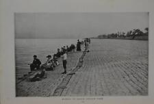 Chicago Downtown Lincoln Park Beach and Zoo Antique Art 1902 picture