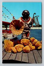 Tarpon Springs FL-Florida, Sponge Diver with Sponges, Vintage Postcard picture