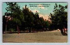 Long Beach CA-California, Cherry Avenue And Entrance, c1915 Vintage Postcard picture