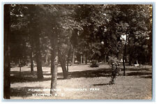Wahpeton North Dakota ND Postcard Picnic Chahinkapa Park c1930's RPPC Photo picture
