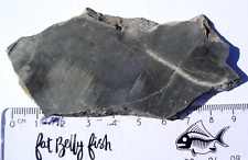 46.6 grams Alamo meteorite Impact Breccia from Nevada - nice unpolished slice picture