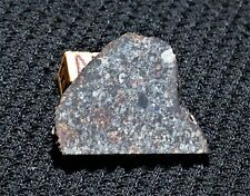Nice NWA 869 meteorite part slice (L3-6) - 10.2 g  Sweet  picture