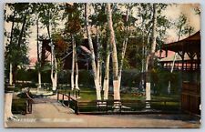 Boise Idaho~Riverside Park~Fountain on Path To Rustic Shelters~1908 Postcard picture