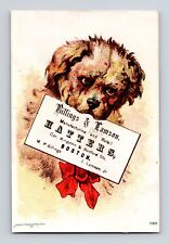 Victorian Trade Card Dog Billings & Lamson Hatters Boston Bufford 780 picture