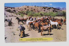 Vintage  Horse Postcard    GREETINS FROM CHAMBERLAIN, SOUTH DAKOTA  POSTED  1953 picture