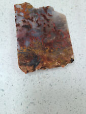 Red Moss Agate Slab picture