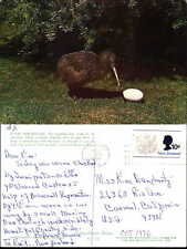 Kiwi flightless bird New Zealand mailed 1970 vintage postcard picture