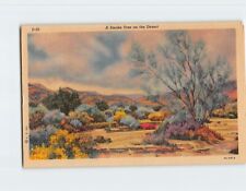 Postcard A Smoke Tree on the Desert picture