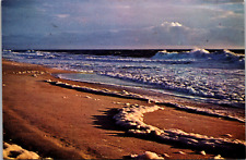 The Outer Banks Of North Carolina, Vintage Postcard picture